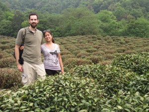 Tea plantation just outside Hangzhou