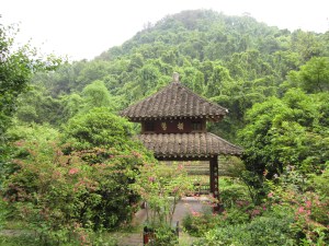 Pagoda in tea field outside Hangzhou
