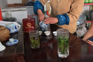 Tea tasting