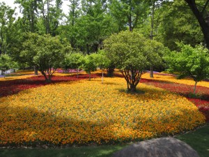Flower beds, Daning-Lingshi Garden