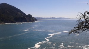 This view at Cape Falcon was worth the climb!