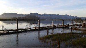 View from Wheeler on the Bay Lodge and Marina