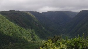 20160522_151544.jpg