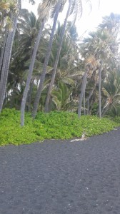 20160524_144022.jpg